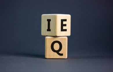 Emotional Intelligence in Leadership